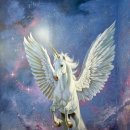 아트 주식회사 이미지