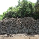 옛 정의현성 이미지