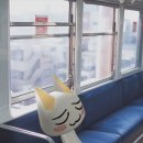 오늘의;한줄 이미지
