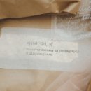 설레;봄