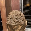 오씨네칼국수 이미지