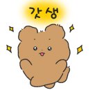 뽕노래타운