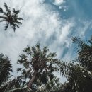 한남대학교 이미지