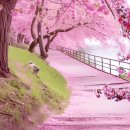 한솔 메디케어 이미지