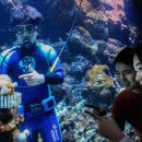 아쿠아플라넷 여수 이미지