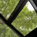단체캠핑장 추천! 남양주휴림캠핑장 캠로그 #12. (미즈캠, 가격, 위치, 정보 후기)