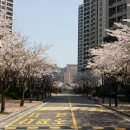 강남황금공인중개사사무소 이미지