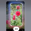 장안산 마실길 이미지