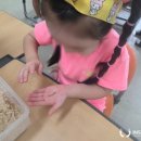 괘법초등학교 이미지