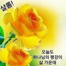 평안교회 이미지