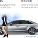 알바트로스 라이브 이미지