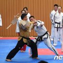 V태권도 이미지