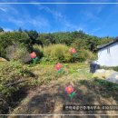 고성부동산중개사무소 이미지