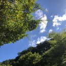 45th 치악산 국립공원 구룡 자동차야영장, 계곡이 좋은 구룡 오토캠핑장