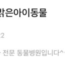 분당밝은아이동물병원 이미지