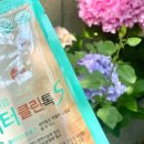 제이써머 이미지