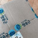 멜시밍