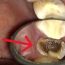 복음치과기공소 이미지