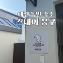 GS25인천원창로 | 인천 영종도 애견동반펜션 스테이뭉구 감성 숙소 독채펜션 내돈내산 후기