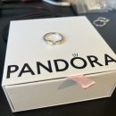 어바웃판도라 이미지