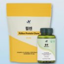 앨리스인크루즈