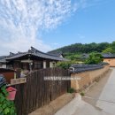 목계숲 1 | 경북 영덕군 고래불해수욕장, 벌영리 메타세콰이어 숲, 괴시리마을