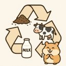 씨유제주에코아바점 | 추석 연휴 제주도 여행 추천 친환경 이색 체험 지소행 커피박 줍서예 캠페인