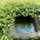 발트하우스 이미지