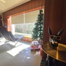 구텐모르겐 이미지