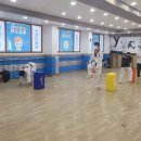 THE 힘찬태권도장 이미지