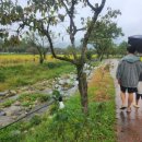 탕정면로8번길+탕정면로22번길 이미지