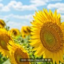 한성탑행정사 합동사무소 | 학원설립 전 임대차계약서 작성 시 유의사항 및 학원 등록할 때 제출서류 알아보기