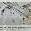 더에스동물병원 이미지