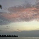 섬안농장 이미지