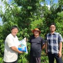 일송농장 이미지