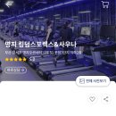 킹덤스포렉스 이미지