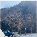 마이산 가자캠핑장 이미지