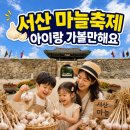 2026 서산 육쪽마늘축제 총정리｜해미읍성 일정·마늘 가격·주차부터 아이랑 갈 때 체크포인트까지