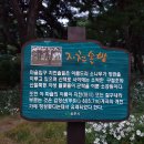 지천솔밭 이미지