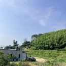 (주)한길 | 경남 거제 매미성 맛집. 인생 미역 매미성 본점. 내돈내산 솔직후기. 거제 아침식사 가능한 곳.