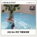 버팔로바베큐 | 고성 숙소 추천 삼포해수욕장 파랑뷰호텔 수영장 조식 바베큐 신메뉴 후기
