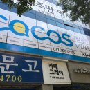 코코스 이미지
