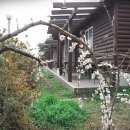 초록마을펜션 이미지