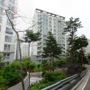 뉴삼성공인중개사사무소 이미지