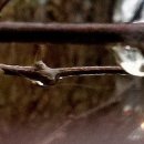 세탁세상 이미지