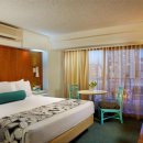 로프트관광호텔 이미지