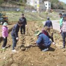 육군 제7193부대 Daum카페