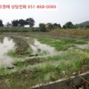 북동 배수장 네이버블로그