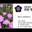 선바위역 과천행정사사무소 네이버블로그