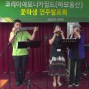 하모니카필드학원